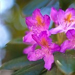 IMG_4304 IMG_4304