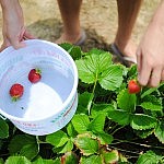 KKK_9318 KKK_9318