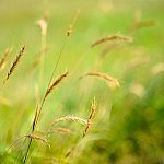 KKK_0545 KKK_0545