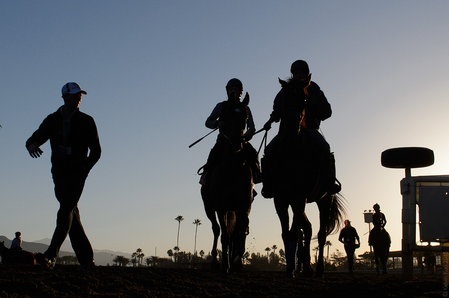 BreedersCup_2014_03