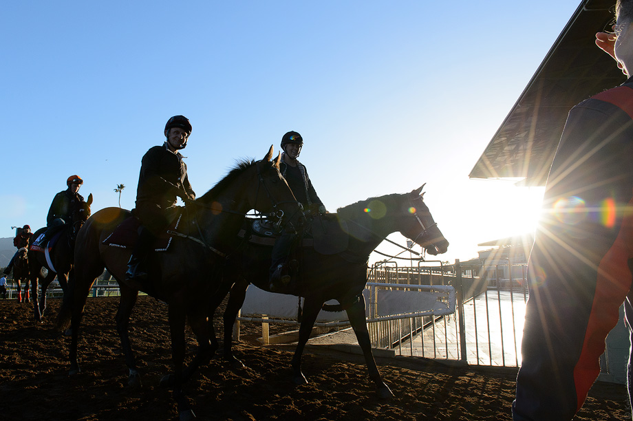 BreedersCup_2014_04