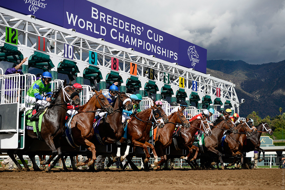 BreedersCup_2014_09