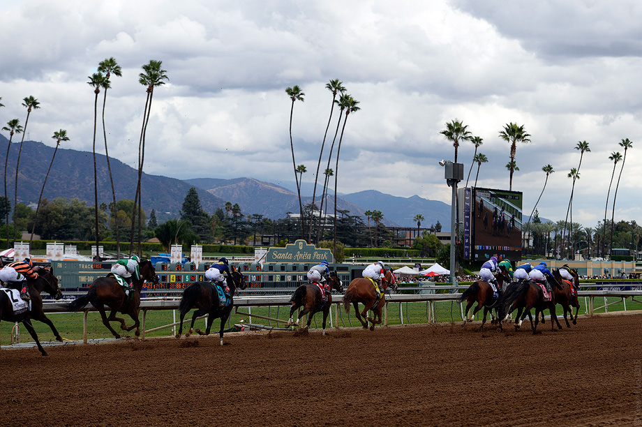 BreedersCup_2014_13