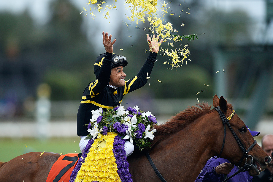 BreedersCup_2014_14