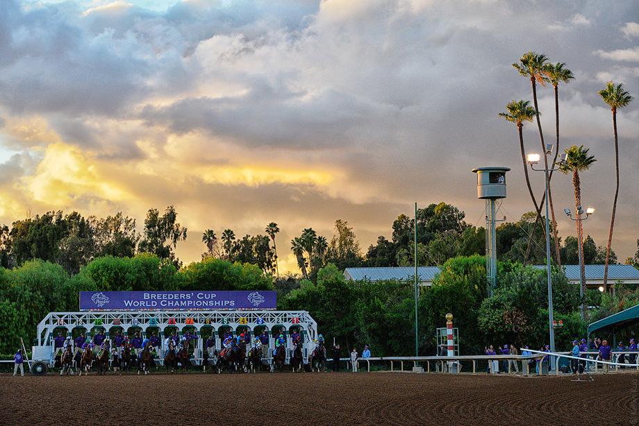 BreedersCup_2014_16