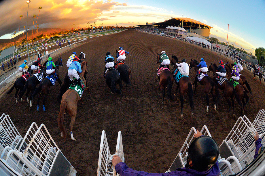 BreedersCup_2014_17